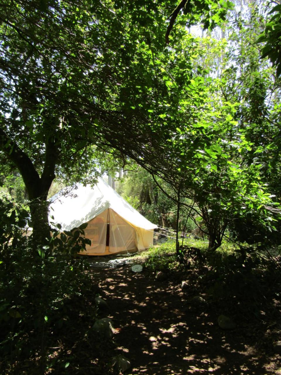 Greenstone Retreat Kumara Exterior photo